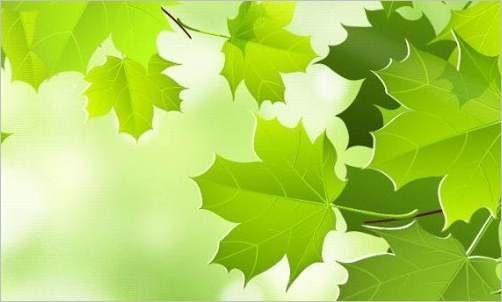 Summer garden maintenance for landlords in Haverfordwest